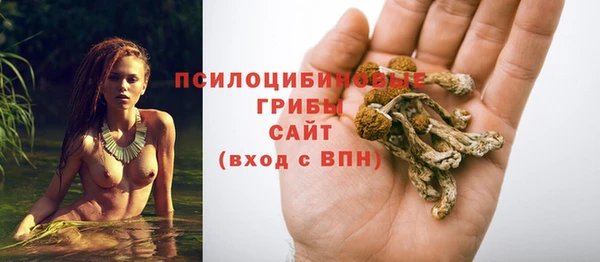 прущая мука Белокуриха