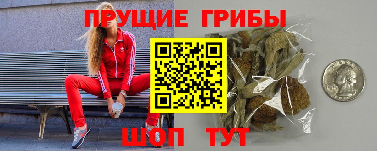 Псилоцибиновые грибы GOLDEN TEACHER  Псилоцибиновые грибы Cubensis  Вход с VPN  наркошоп  Белореченск 